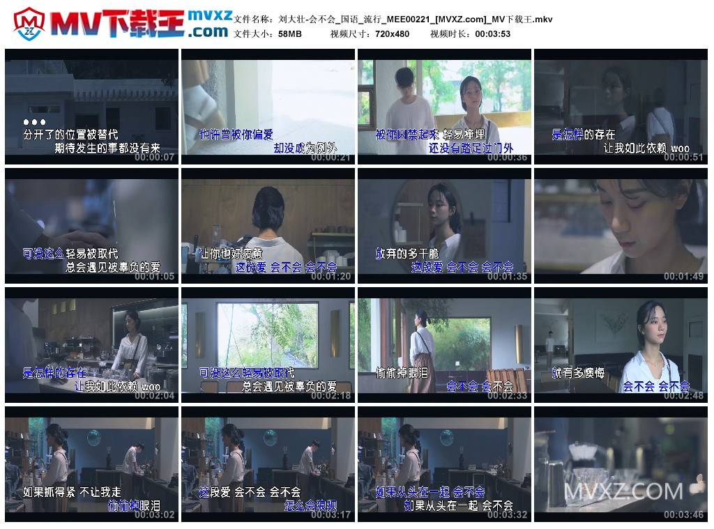 刘大壮-会不会_国语_流行_MEE00221